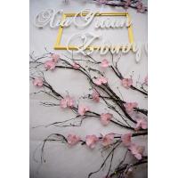 uploads/erp/collection/images/Home Garden/CongDing/XU0611936/img_b/XU0611936_img_b_1
